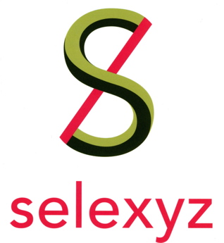 logo_BGN-Selexyz